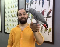 100 Keli̇me Konuşan Cümle Kuran Jako Papağanimiz