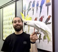 Full Evci̇l Konuşan Sülfür Kakadu Papağanimiz