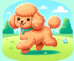 Toy Poodle Eğitimi: Temel Komutlar ve Tuvalet Eğitimi