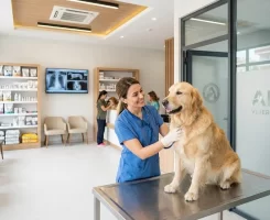 Aksu Veteriner Klinikleri