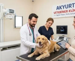 Akyurt Veteriner Klinikleri