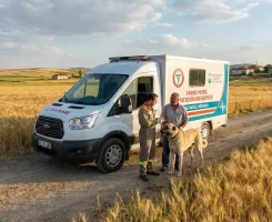 Altıntaş Veteriner Klinikleri