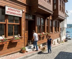 Arnavutköy Veteriner Klinikleri