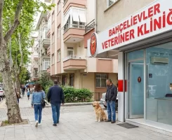 Bahçelievler Veteriner Klinikleri