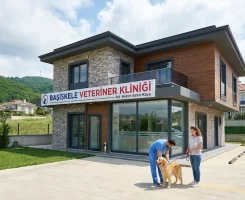 Başiskele Veteriner Klinikleri