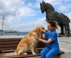 Çanakkale Merkez Veteriner Klinikleri