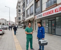 Çayırova Veteriner Klinikleri