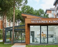 Çekmeköy Veteriner Klinikleri