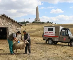 Dumlupınar Veteriner Klinikleri