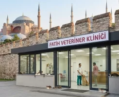 Fatih Veteriner Klinikleri