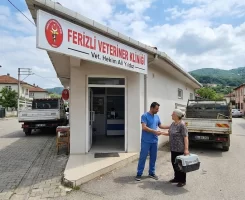 Ferizli Veteriner Klinikleri