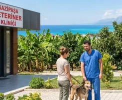 Gazipaşa Veteriner Klinikleri
