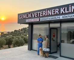 Gemlik Veteriner Klinikleri