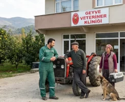Geyve Veteriner Klinikleri