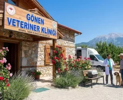 Gönen Veteriner Klinikleri