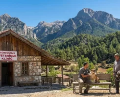 Gündoğmuş Veteriner Klinikleri