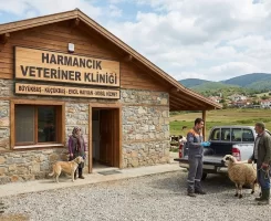 Harmancık Veteriner Klinikleri