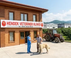Hendek Veteriner Klinikleri