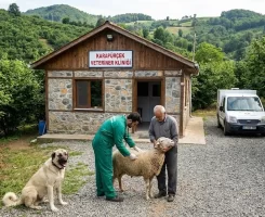 Karapürçek Veteriner Klinikleri