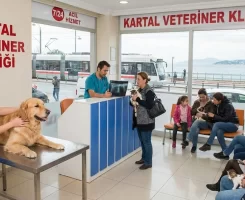 Kartal Veteriner Klinikleri