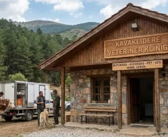 Kavaklıdere Veteriner Klinikleri