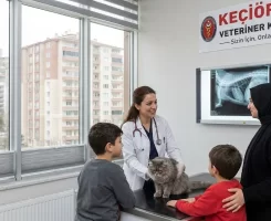 Keçiören Veteriner Klinikleri