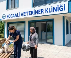 Kocaali Veteriner Klinikleri