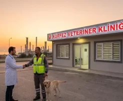 Körfez Veteriner Klinikleri