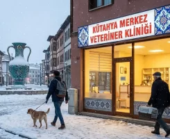 Kütahya Merkez Veteriner Klinikleri