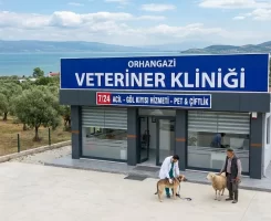 Orhangazi Veteriner Klinikleri