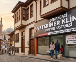 Osmangazi Veteriner Klinikleri