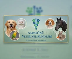 Sarayönü Veteriner Klinikleri