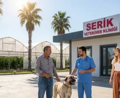 Serik Veteriner Klinikleri