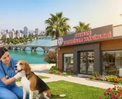 Seyhan Veteriner Klinikleri