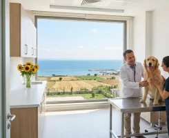 Silivri Veteriner Klinikleri