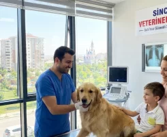 Sincan Veteriner Klinikleri
