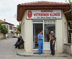 Sındırgı Veteriner Klinikleri