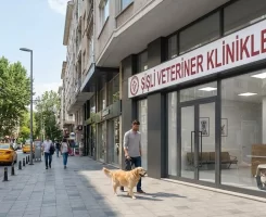Şişli Veteriner Klinikleri