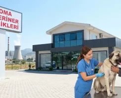 Soma Veteriner Klinikleri