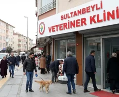 Sultanbeyli Veteriner Klinikleri