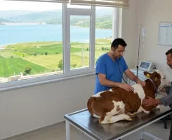 Suşehri Veteriner Klinikleri