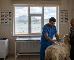 Ulaş Veteriner Klinikleri
