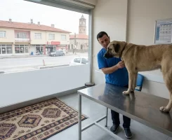 Uşak Merkez Veteriner Klinikleri