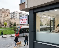 Zeytinburnu Veteriner Klinikleri