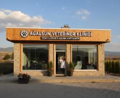 Ağlasun Veteriner Klinikleri