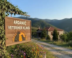 Ardanuç Veteriner Klinikleri