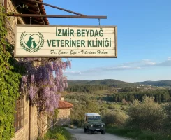 Beydağ Veteriner Klinikleri