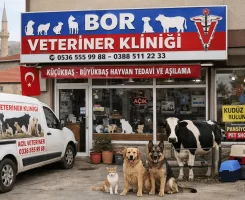 Bor Veteriner Klinikleri