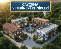 Çaycuma Veteriner Klinikleri