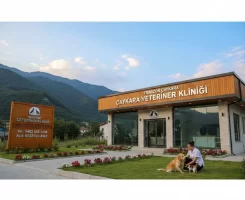 Çaykara Veteriner Klinikleri
